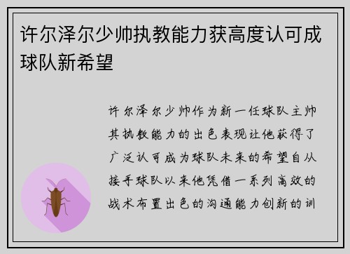 许尔泽尔少帅执教能力获高度认可成球队新希望 许尔泽尔少帅执教能力获高度认可成球队新希望